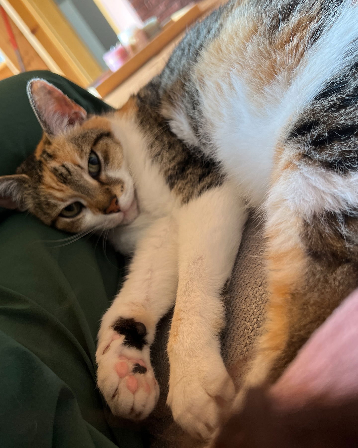 cata.leyah instagram image archive image