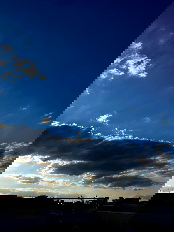 cata.leyah image ~ Altpins