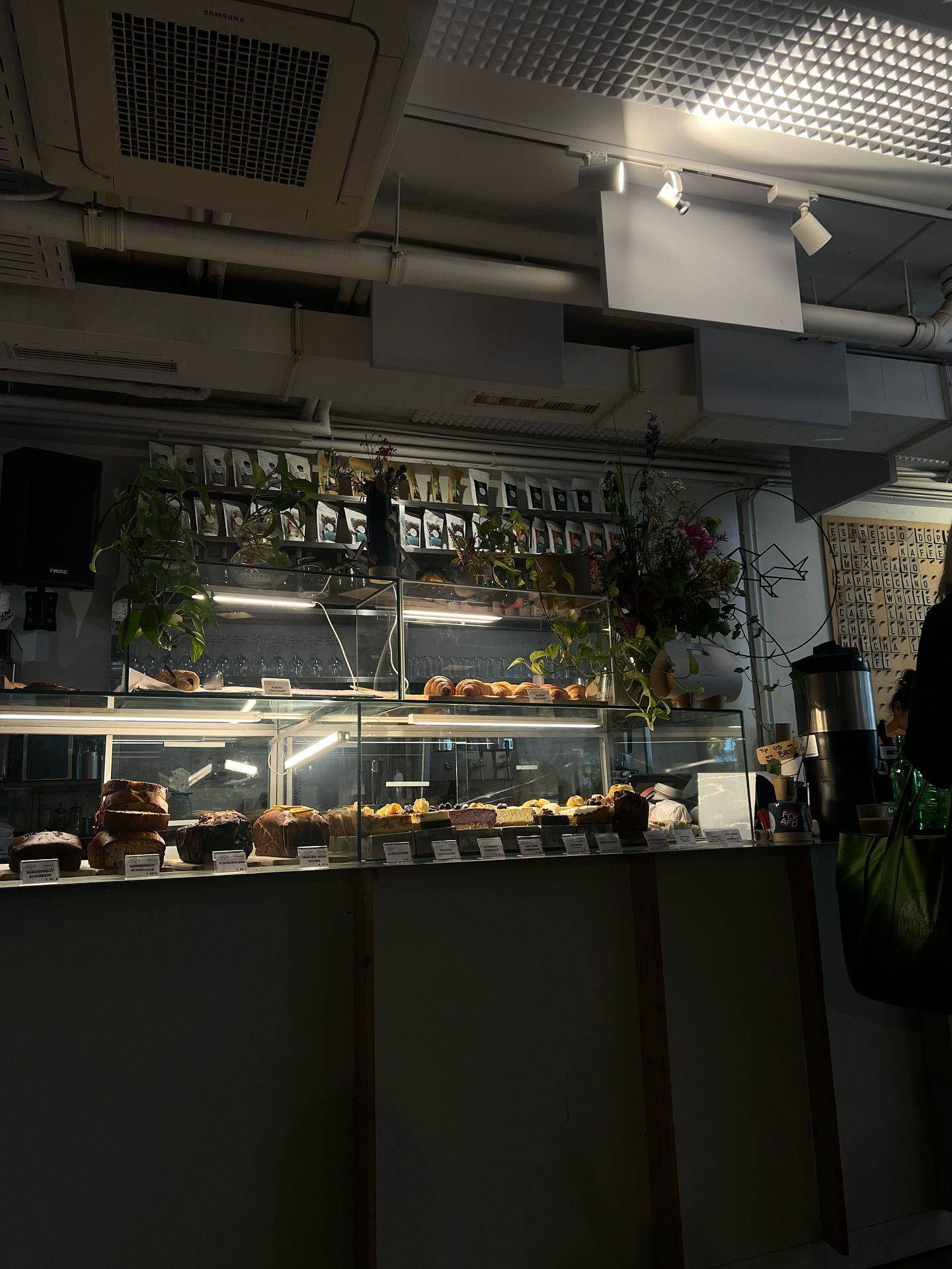 cata.leyah instagram image archive image