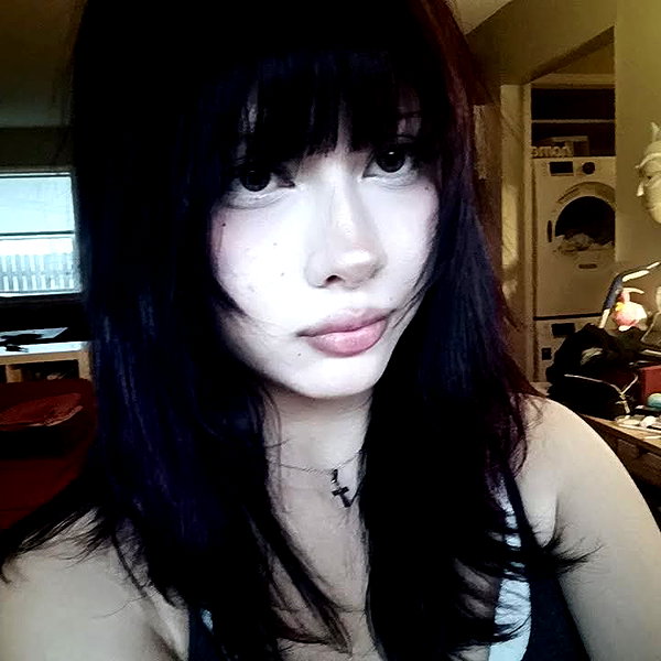 catastoo instagram image archive image