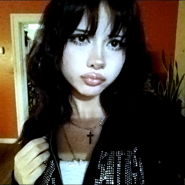 catastoo instagram image archive image
