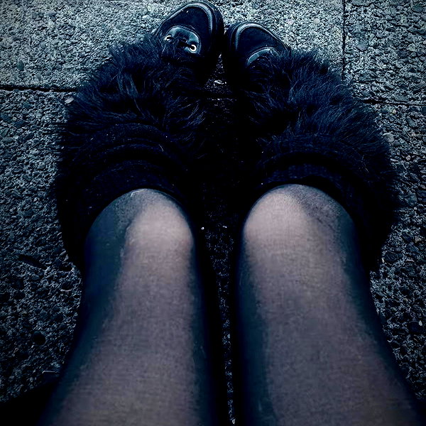 catastoo instagram image archive image