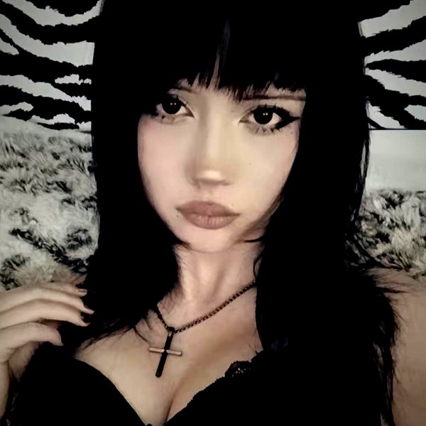 catastoo instagram image archive image