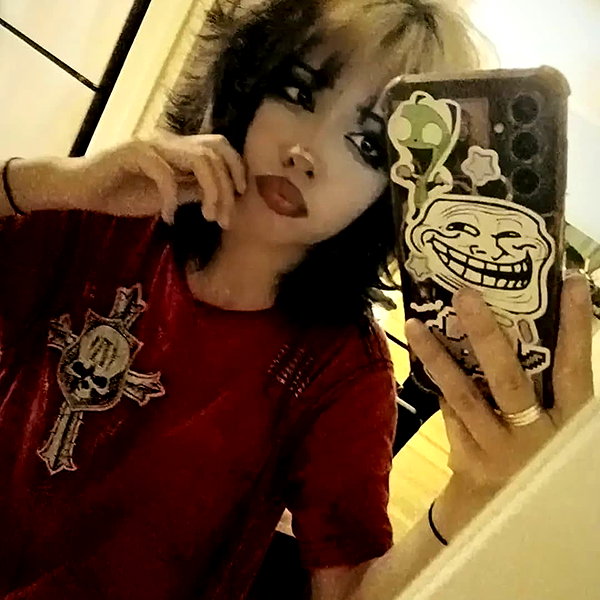 catastoo instagram image archive image