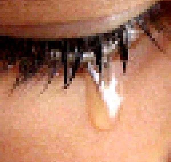 catastoo instagram image archive image