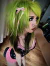 catastoo Altpins Profile Picture