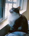 catherine__roze Altpins Profile Picture