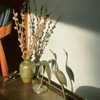 catherine__roze Altpins Profile Picture