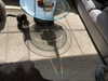 catherine__roze Altpins Profile Picture