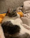 catherine__roze Altpins Profile Picture
