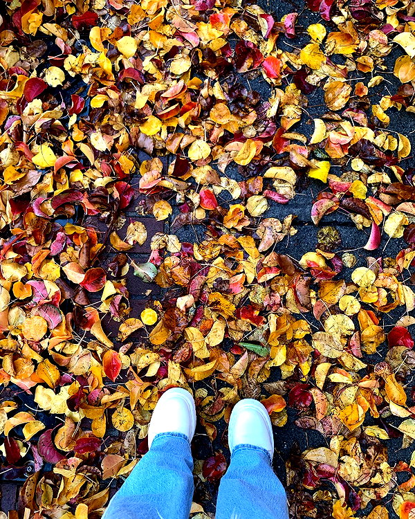 catherine__roze instagram image archive image