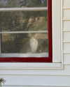 catherine__roze Altpins Profile Picture