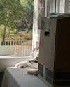 catherine__roze Altpins Profile Picture