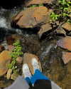 catherine__roze Altpins Profile Picture