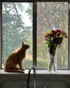 catherine__roze Altpins Profile Picture