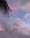 catherine__roze Altpins Profile Picture