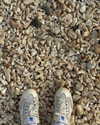 catherine__roze Altpins Profile Picture
