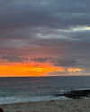 catherine__roze Altpins Profile Picture