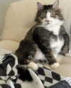 catherine__roze Altpins Profile Picture