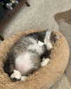 catherine__roze Altpins Profile Picture