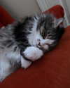 catherine__roze Altpins Profile Picture