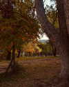 catherine__roze Altpins Profile Picture