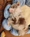 catherine__roze Altpins Profile Picture