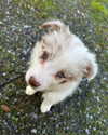 catherine__roze Altpins Profile Picture