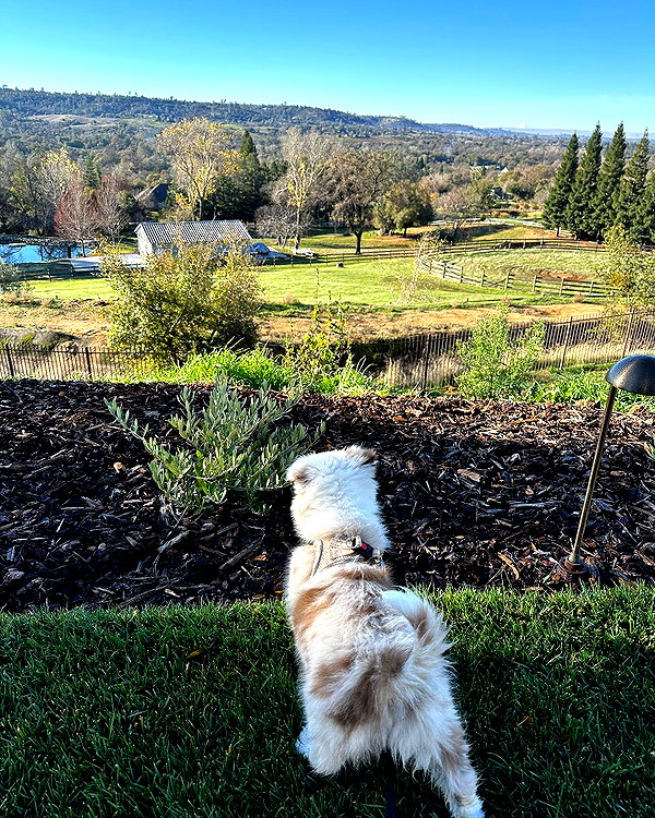 catherine__roze instagram image archive image