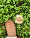 catherine__roze Altpins Profile Picture