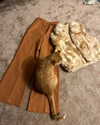 catherine__roze Altpins Profile Picture