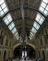 catherine__roze Altpins Profile Picture