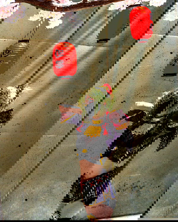 celebi.cos image ~ Altpins