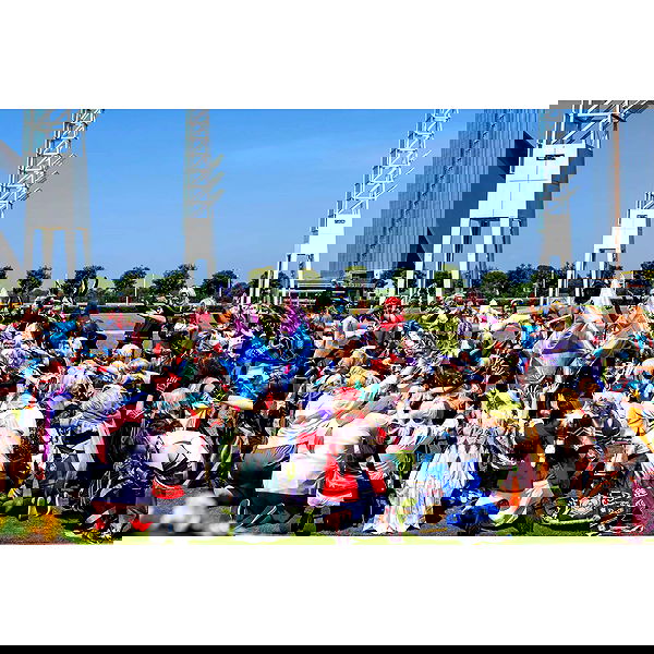 celebi.cos image ~ Altpins