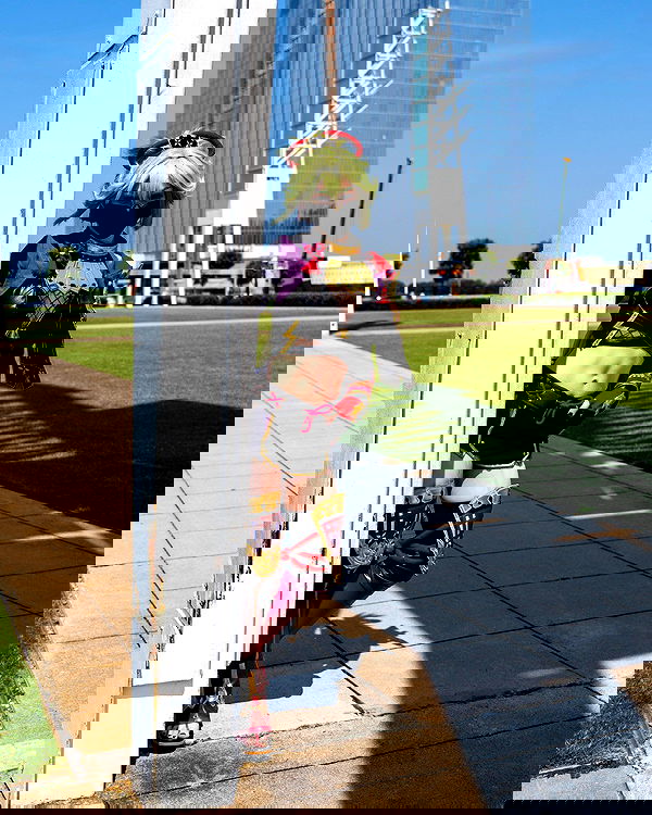 celebi.cos image ~ Altpins