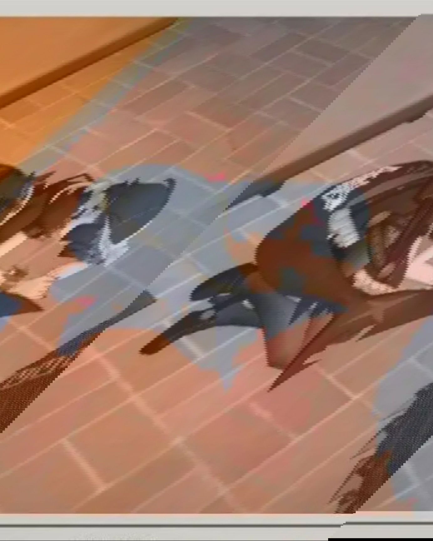 celebi.cos instagram image archive image