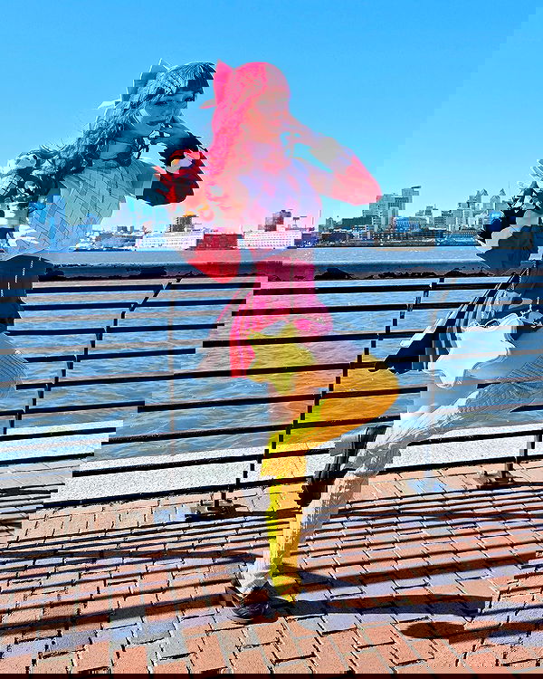 celebi.cos image ~ Altpins