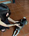 celineharu Altpins Profile Picture