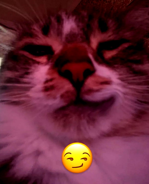 cellow111 instagram image archive image