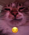 cellow111 Altpins Profile Picture