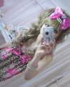 chanrio.u_u Altpins Profile Picture