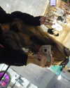 chanrio.u_u Altpins Profile Picture