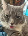 charleygrayyy Altpins Profile Picture