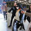 charli_xcx Altpins Profile Picture