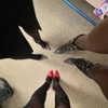 charli_xcx Altpins Profile Picture