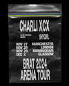 charli_xcx Altpins Profile Picture
