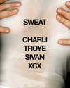 charli_xcx Altpins Profile Picture
