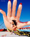 charli_xcx Altpins Profile Picture