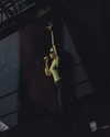 charli_xcx Altpins Profile Picture