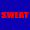 charli_xcx Altpins Profile Picture